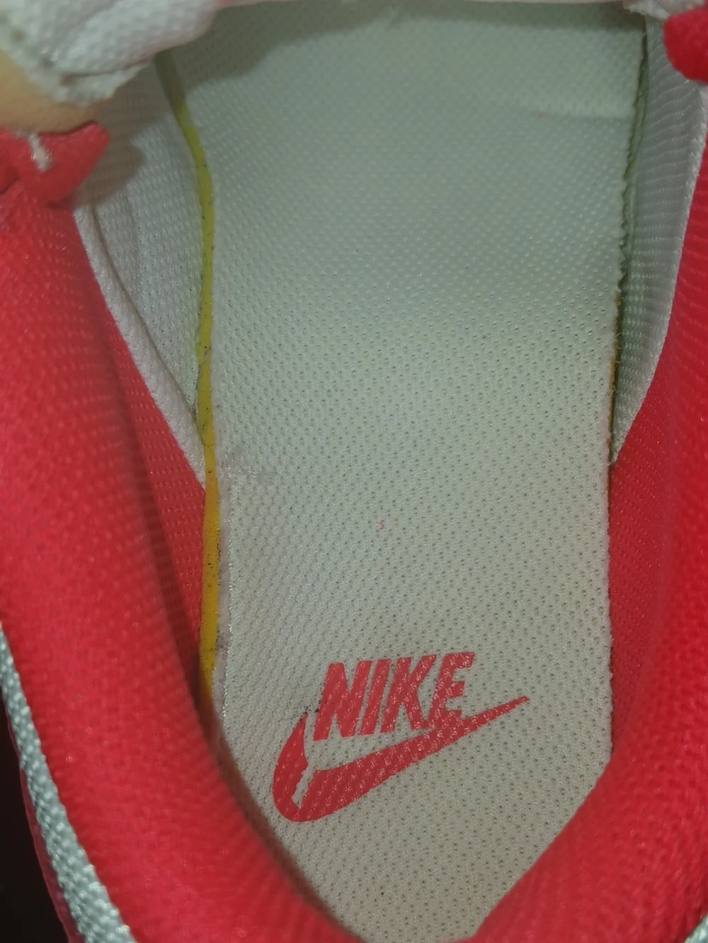 Nike Dunk Low Disrupt 